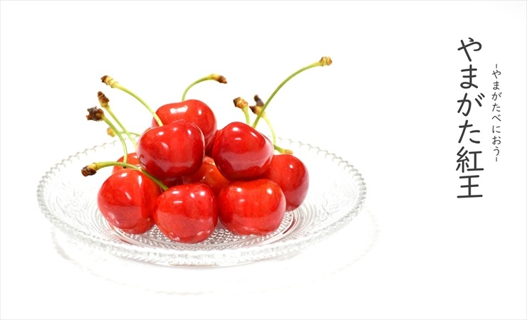 さくらんぼ（やまがた紅王） | チェリーランドさがえ ONLINE SHOP